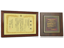 知的財産活用奨励賞（知的財産戦略部門）受賞について