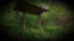 Korinji Rinzai Zen Monastery Wisconsin USA