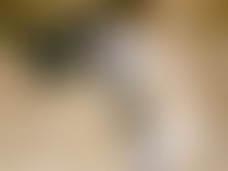 Are you feeding puppies enough food? 🐶 🥣