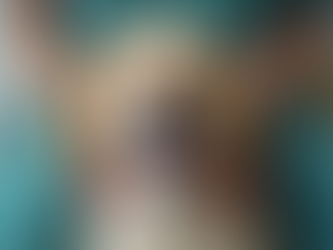 Why Pet Owners Trust Angel's Trusted Paws for Care