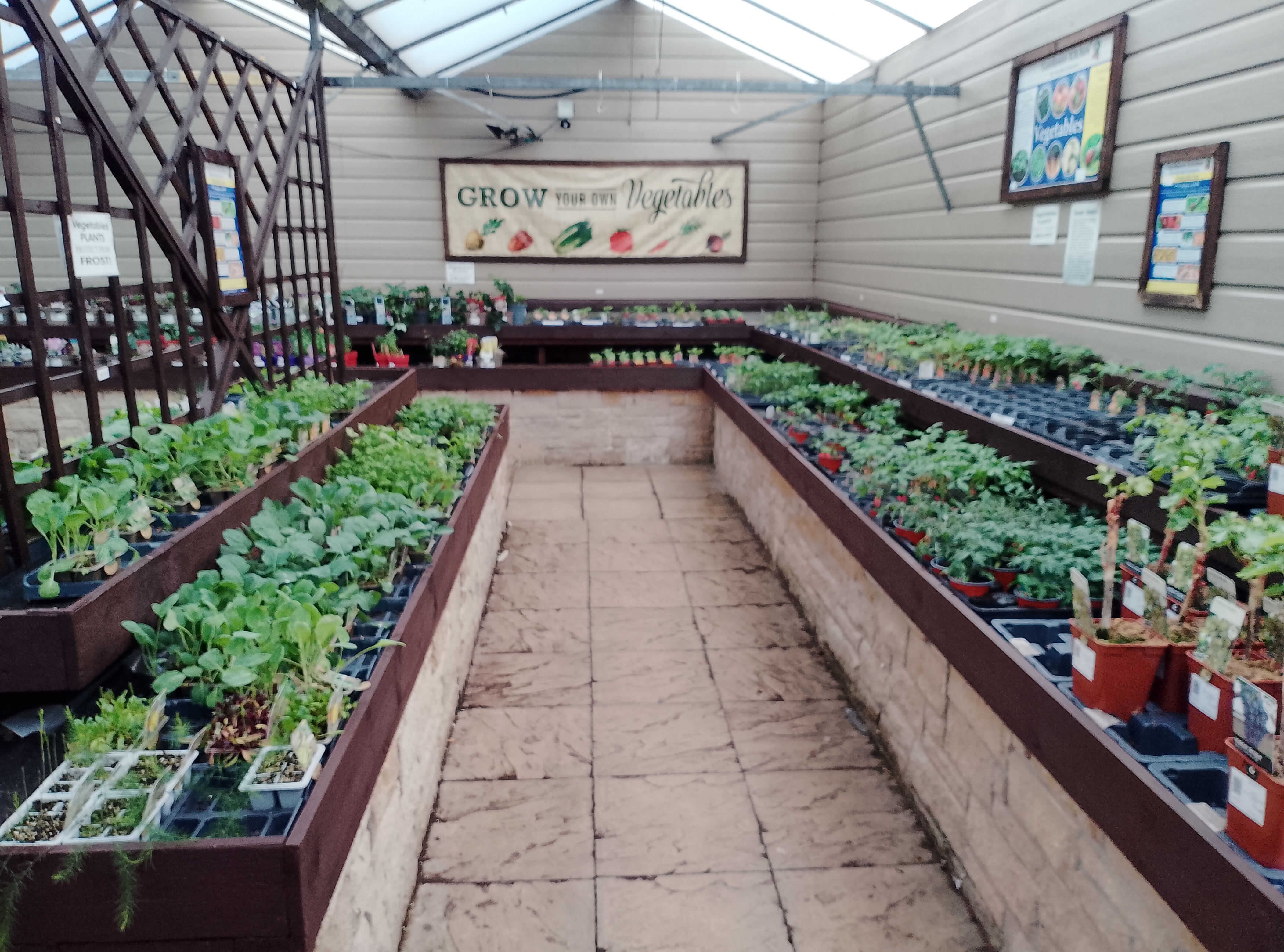 Our Veg patch