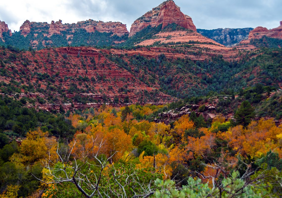 Fall Remodeling in Arizona: Why Autumn Is the Perfect Season for Your Next Project