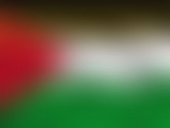 July 17th 2025 “Heroes of Gaza Humanitarian Aid and Peace Activism” Award Zoom Online and Meeting at International Action Center, New York, NY USA