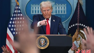 世界出卖了巴勒斯坦！