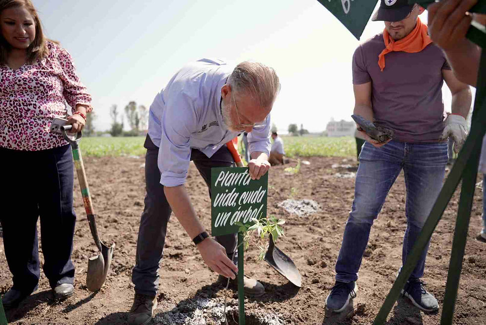 Del Prete impulsa restauración ambiental con reforestación y participación ciudadana