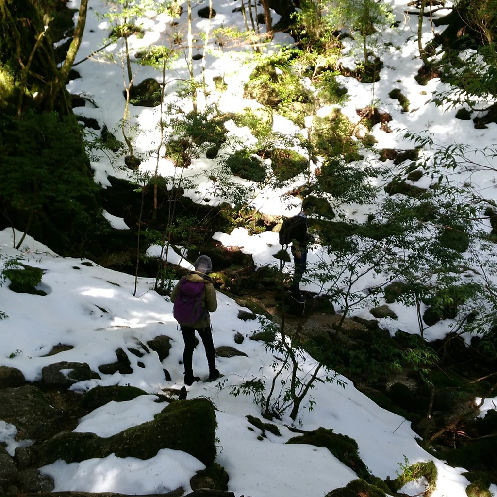 ホーム 2月の屋久島を盛り上げる会 ホーム 2月の屋久島を盛り上げる会