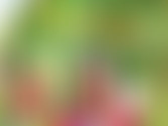 Vegan Cookbook Giveaway & How Plant-Based Eating Can Boost Energy