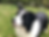 blake1.png