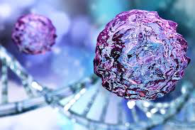 Happy Stem Cell Awareness Day!