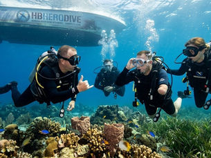 How Can I Sponsor a Veteran to Go Scuba Diving? A Guide to Giving Back
