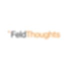FeldThoughts (blog)