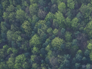 Digital Print | Bridgend Print | Cardiff Print | South Wales Print | Environmental