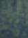 Skog