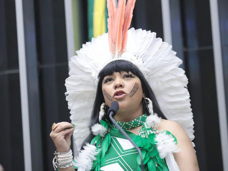 Célia Xakriabá é a única deputada federal de MG a destinar emenda individual para o combate a incêndios florestais