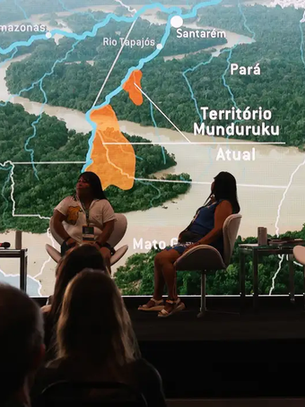 Contaminação por mercúrio coloca gestantes e bebês Munduruku em risco￼