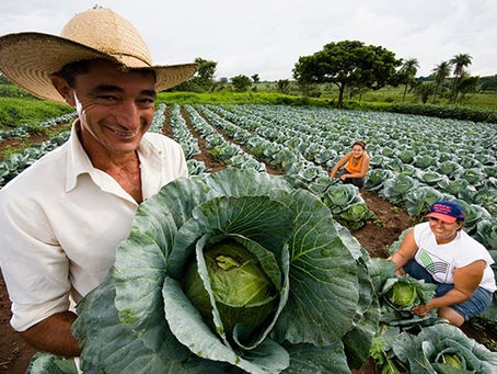 agricultores familiares minas gerais paa 2025