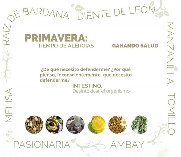 PRIMAVERA...TIEMPO DE ALERGIAS