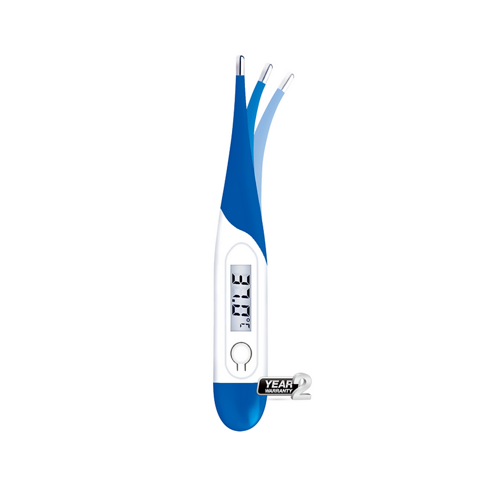 Thumbnail: T15SL Digital Thermometer