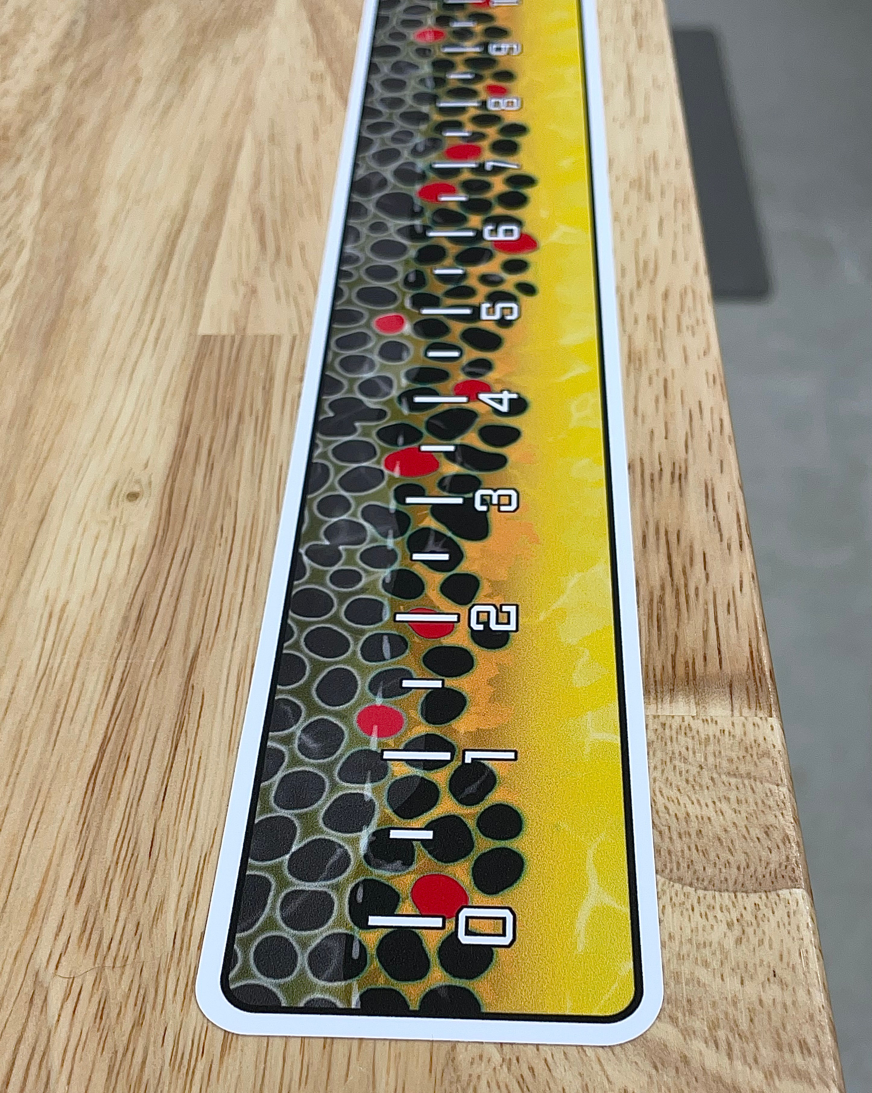 36 inch Brown Trout Ruler Decal