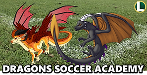 DRAGONS SOCCER ACADEMY (LAKE ORION - MI)