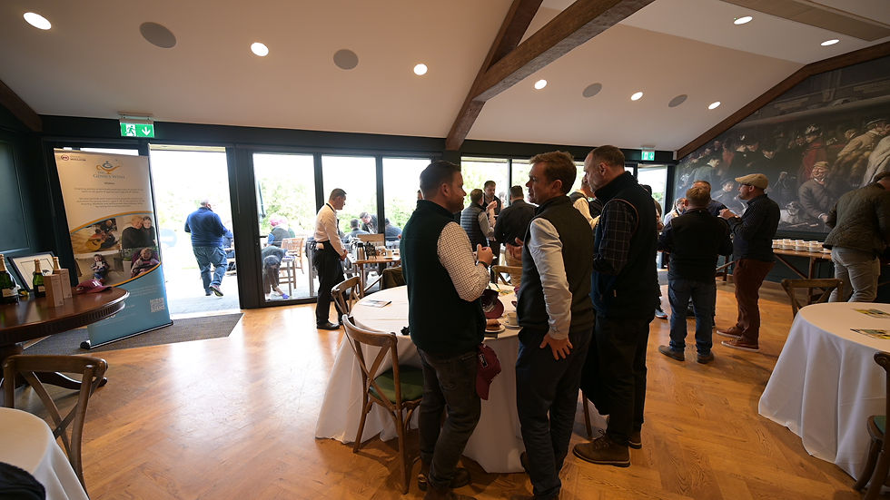 Clubhouse 33