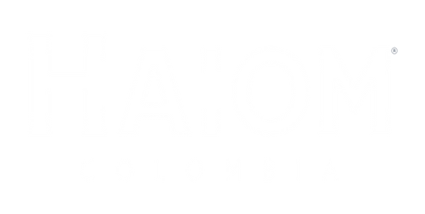 Nuevo logo Haiom Final.png