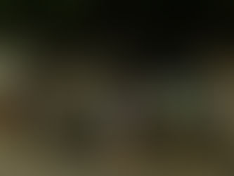 Destinasi Staycation Seru yang Wajib Dicoba