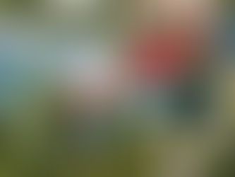 Why Beaches Turks & Caicos is the Best Family All-Inclusive Resort in the Caribbean