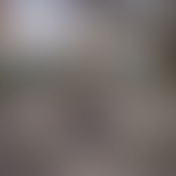 Pflichtaufgabe erfüllt