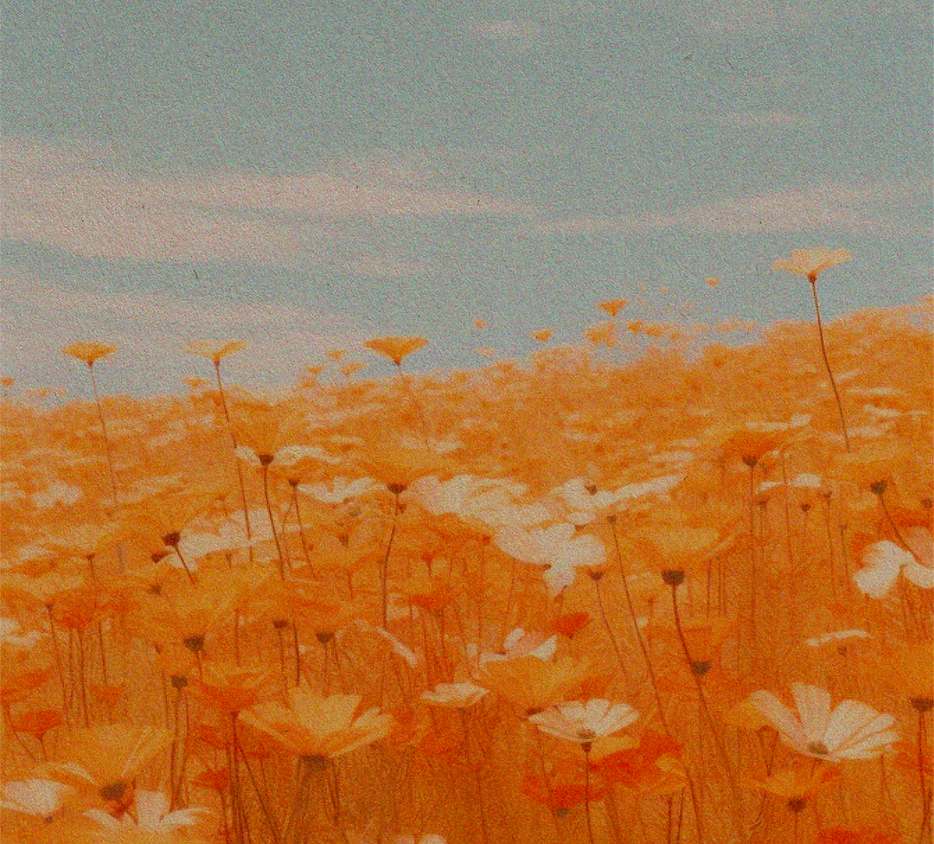 eLEMENTOS WEB-31.png