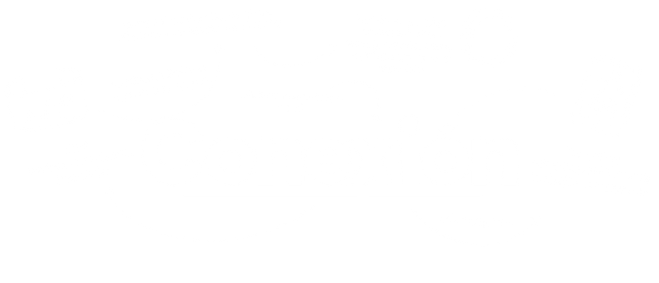 Pichbit conexión a internet sin complicaciones