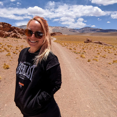 LE COMMIS DE CHILEAN RENT A CAR