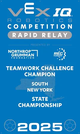 VIQRC-SREGION-TeamworkChamp_7e998024-34db-40c1-8a4d-c6692c642aab.webp