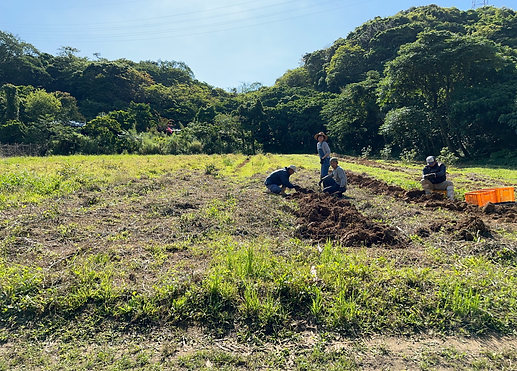 304094C6-EE89-4B91-BA48-FED835974892_edi