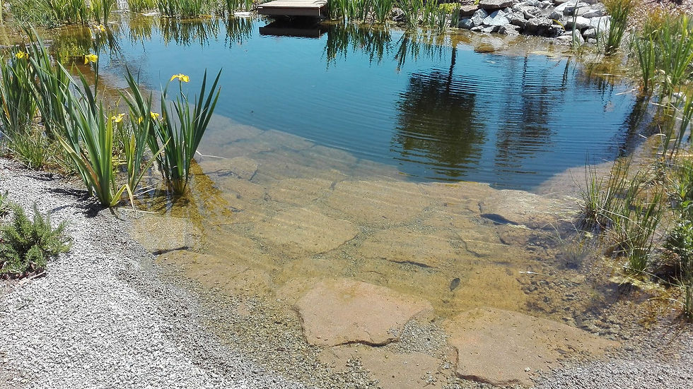 Membrana PVC impermeabilizacion lagunas artificiales espejos de agua argentina AQUALINER