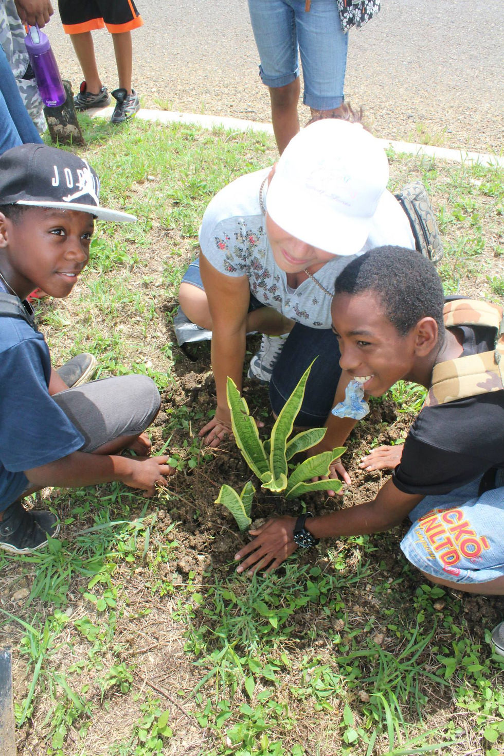 BAY Summer Plant Drive