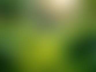 The Importance of Sustainable Living in Today's World