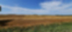 4CA050F4-CE92-4402-B600-24534EF7BC19.jpeg