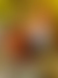 🍁5 Fall Trays That’ll Make You Smile Every Time You Walk By