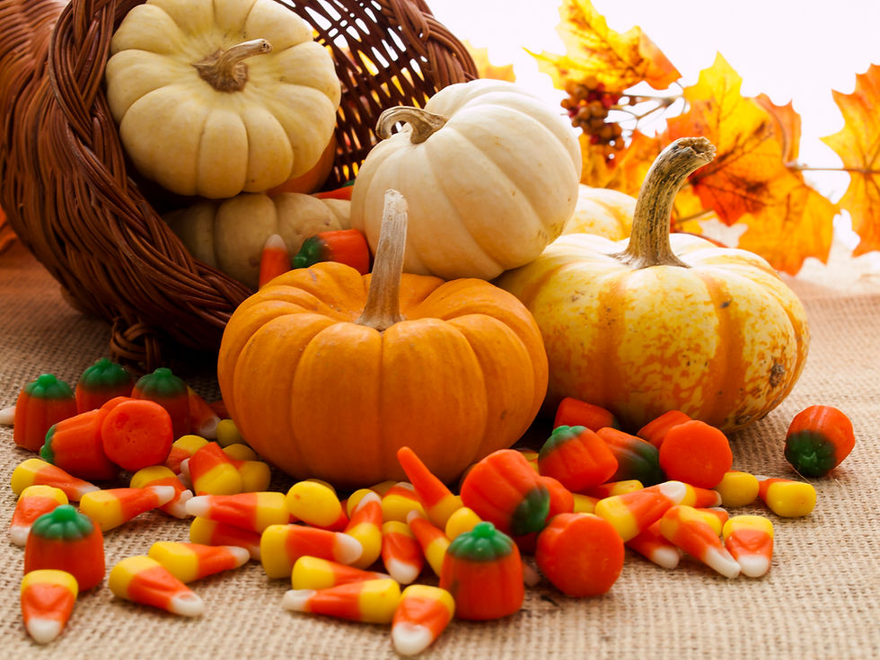 🍂 Little Fall Moments: Small Vignettes, Big Cozy