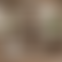 Earthy Cottage Decor: Big Cozy, Small Budget