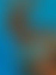              Blue and Orange for Fall?                          