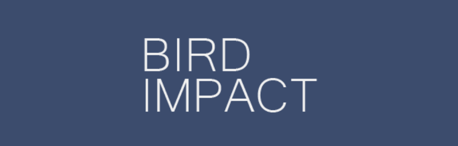 Logo bird impact.png