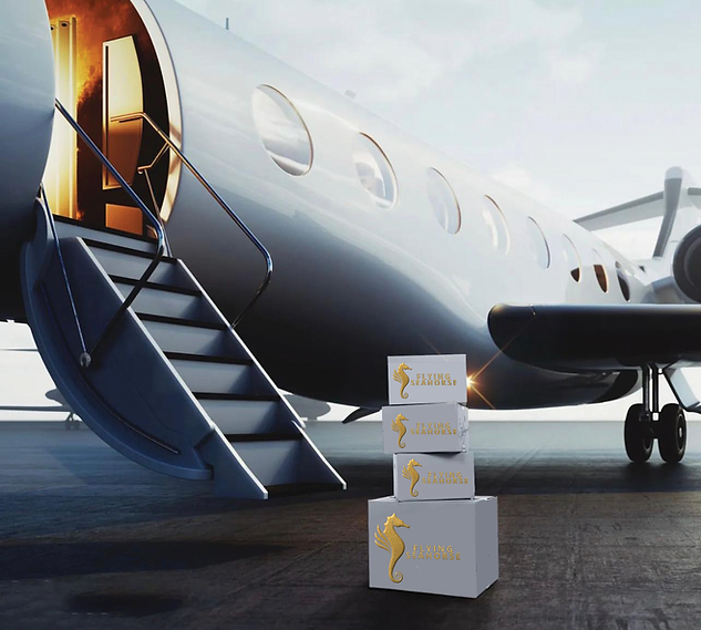 flying-seahorse-concierge.webp