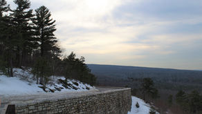 Ways to Avoid Writing My Paper- #29 Go Dumpster Diving