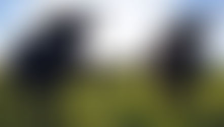 Ways to Avoid Writing My Paper- #41 Drink Milk