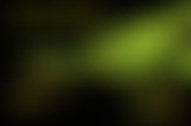 Come meet us at the Vancouver Reptile Expo this March 30-31st 2019!