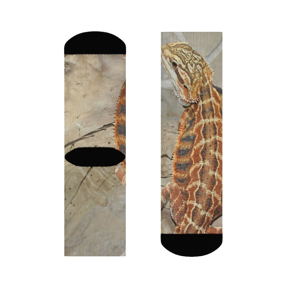 Thumbnail: Amalthea - The Bearded Dragon - Crew Socks