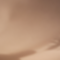 Logo BG ONLY.png