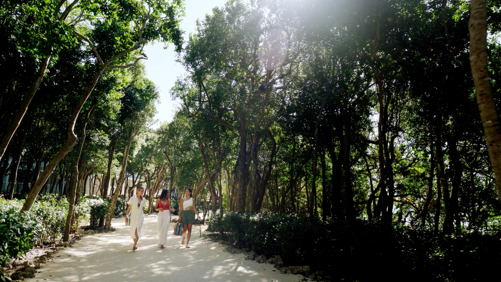 Still 4